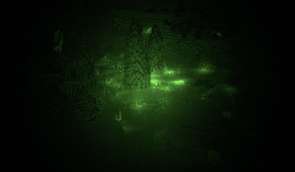 Loé's Night Vision