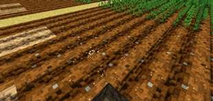 Muuf A.G.I Shaders