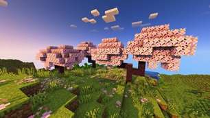 BMS Shader