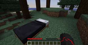 HungerBed