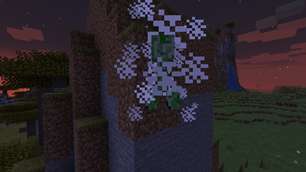 Spawn Animations [Data Pack]