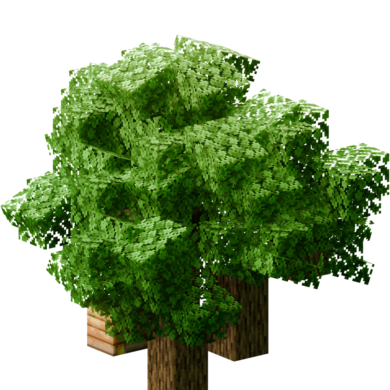 Cubic Leaves